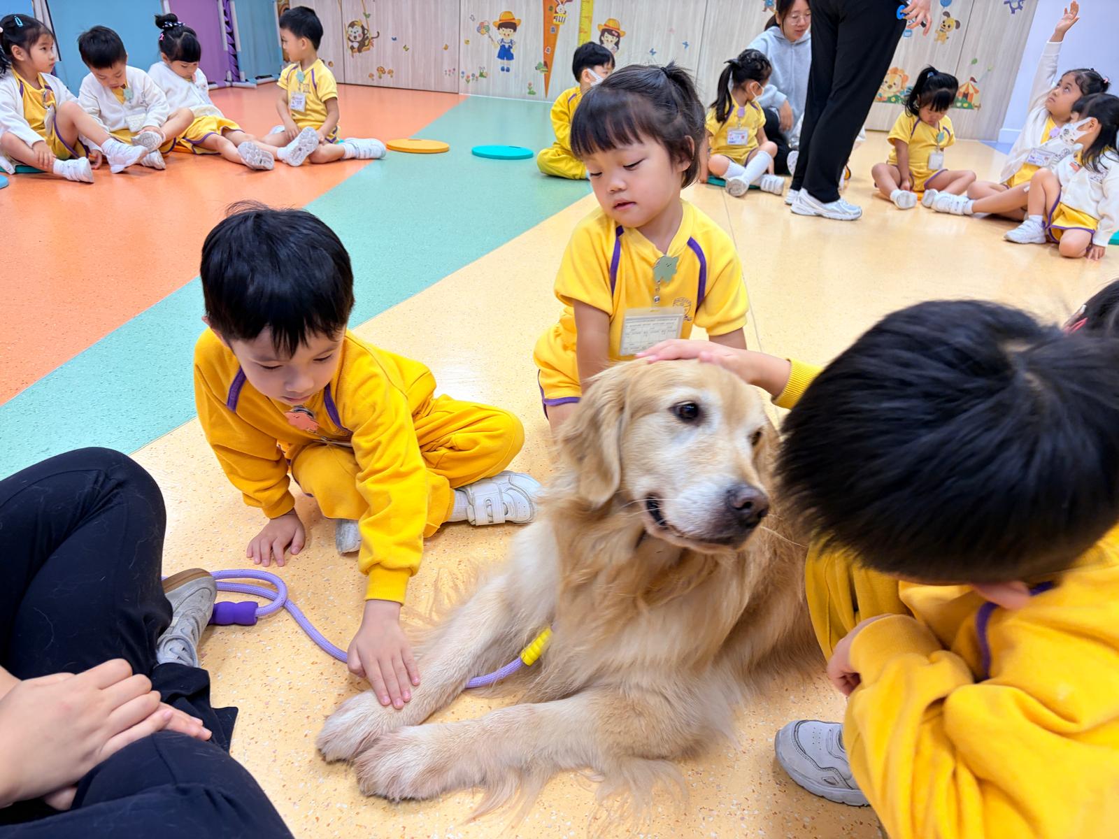國際培幼會 《我和狗狗有個約會》幼兒工作坊   Plan International Child “Date With Dog“ Early Childhood Workshop (25-26)